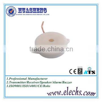 China Huasheng Excellent Car Piezo Small Buzzer