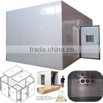 Modular Cold Room and Freezer Room(fruit&meat)with Cam Lock Polyurethane Panels photo-3