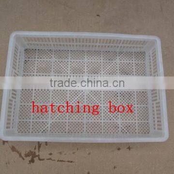 Incubator Egg Plastic Hatchery Basket