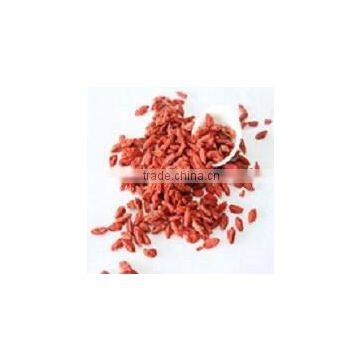 2015 NingXia best certified goji berry harvest