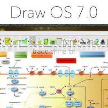 IEBOARD DIGITAL Interactive Whiteboard