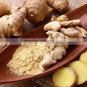 WASHED FRESH GINGER CROP 2014