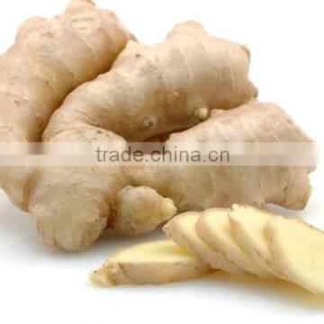 fresh ginger