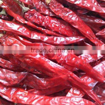 Fresh Red Chilli- Good quality Spices,