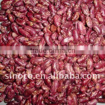 Red Kidney Bean in China