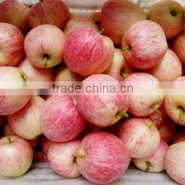 qinguan apple in China