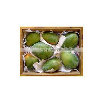 Fresh Quality Egypt Mango