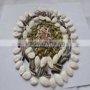 Chinese Watermelon Seed Snacks photo-4