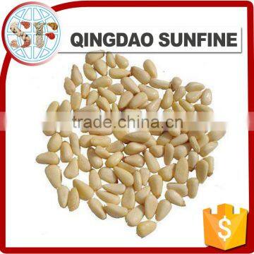 Raw & Roasted Organic Organic Pine Nuts in Shell