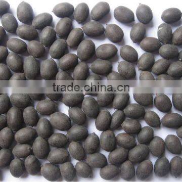 Lotus seed, Lotus grain