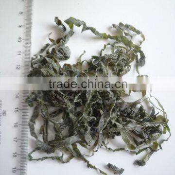 2013 New type thermal dried cut seaweed laminaria kelp