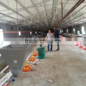 Breeder chain pan feeding system