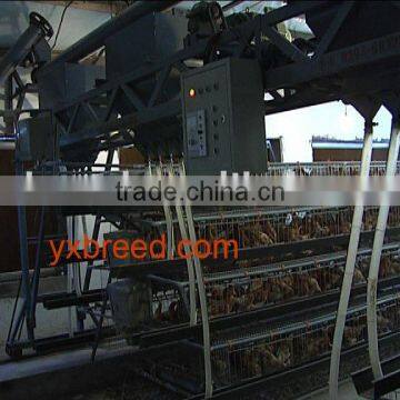 Automatic feeding machine in using