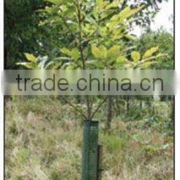 Tree Guard Mesh