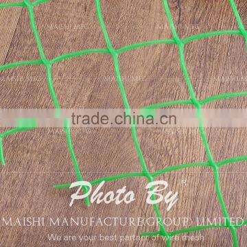 Plastic Extruded Net photo-4