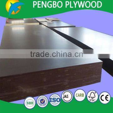 Film Faced Plywood Made in China photo-4