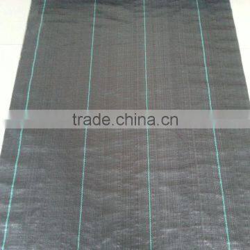 Weed Control Fabric pp Woven Weed Mat