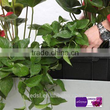 Garden Decoration Pot, Golf Umbrella Plastic Planter Box, Self Watering Plant Box photo-2