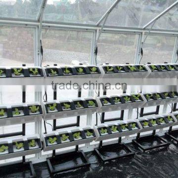 Plastic Garden Structure Wholesale Hydroponic Greenhouse photo-3
