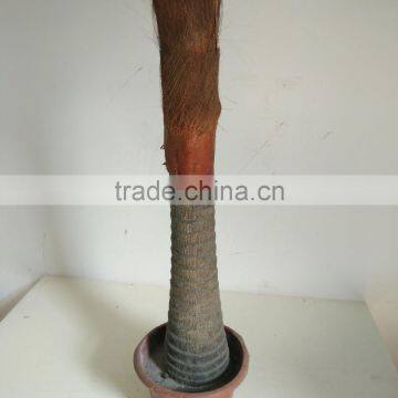 Big Fan Kwai Artificial Palm Tree photo-6