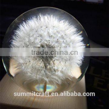 Custom Real Dandelion Paperweight Gift photo-4