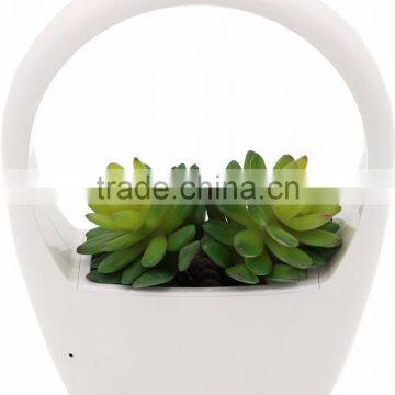 Indoor Desktop Planter Integrated With LED Grow Lighting photo-2