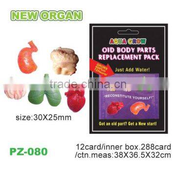 Magic Water Growing Human Organs photo-3