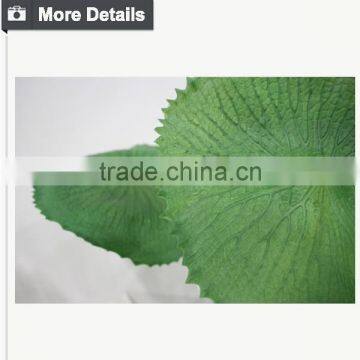 2015 New Product High Quality Artificial Lotus Leaf Decorative Water Lily photo-4