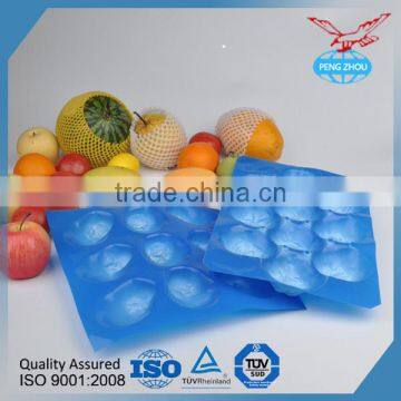 FDA/SGS Food Grade Custom Made Thermoformed PP Fruit Serving Tray