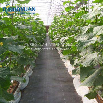 Black Plastic PP Ground Cover Mesh Mat for Greenhouse photo-5