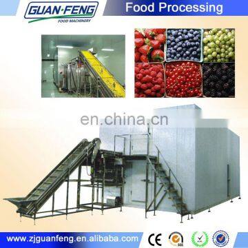 Professional Air Blast Freezer Frozen Iqf Strawberries Machinery Industrial Blast Freezers photo-5