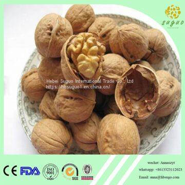 Easy Cracked Walnut Inshell 28mm Up photo-5