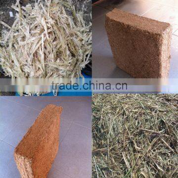 Cheap Price of Unfermented Bagasse