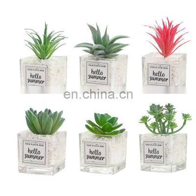 2021 newest Artificial Succulents Tabletop Greenery Clear Square Glass Pots Pebble Rock Planter Plants Cactus For Home Decor