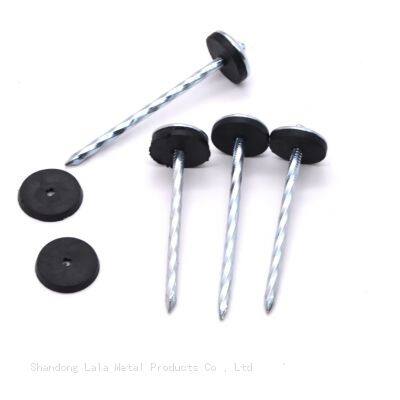 Galvanized Umbrella Head Roof Nails Umbrella Type Roofing Nail Umbrella Head Roofing Nail photo-3