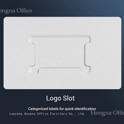 Environment-Friendly Powder Coating Office Archive Storage Steel Cabinet With Quality Locks for Factories & Workshops photo-5