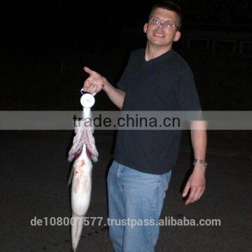 Best Quality Nylon Monofilament Fishing Lines 100% Made in Germany Bulk Spools 0.08-0.60mm HYPERSTRONG Clear photo-5