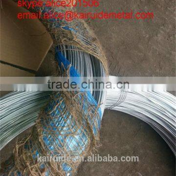 Many Years High Qualtity Galvanized Wire From Galvanized Wire Factory photo-4