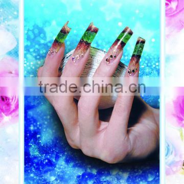 Decorative Painting pictures nail posters nail art designs