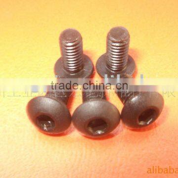 Hexagon Socket round head screws