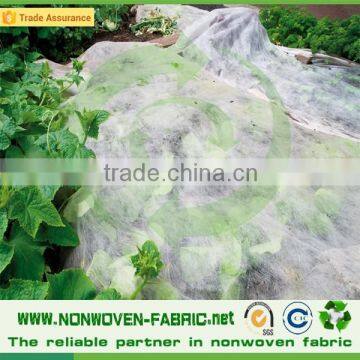 Landscape Nonwoven Fabric Agriculture Nonwoven Fabric 100% Polypropylene Price per kg photo-5