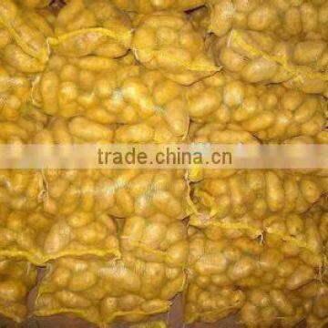 New crop potato net bag packing with competitive export price