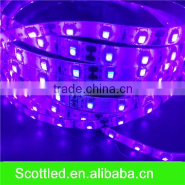 HOT SALE High brightness DC12V 60LEDS/M UV LED strip light LED FLEXIBLE light smd5050