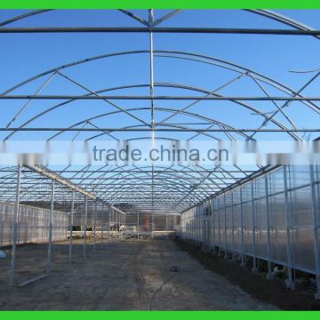 Export to Japan agriclutural Polycarbonate greenhouse