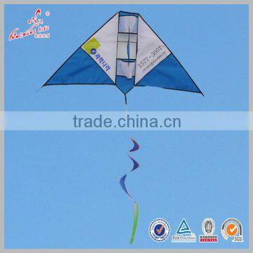 Chinese Factory Customized 3D Delta kite with your logo printing