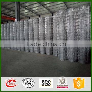 Anping factory Supply Grassland Fence/ Cattle Wire Mesh fence/Field Fence