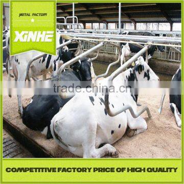 Grade one factory Cattle pen layout