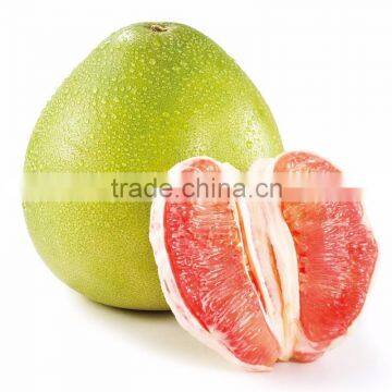 2016 cheap fresh pomelo for sale