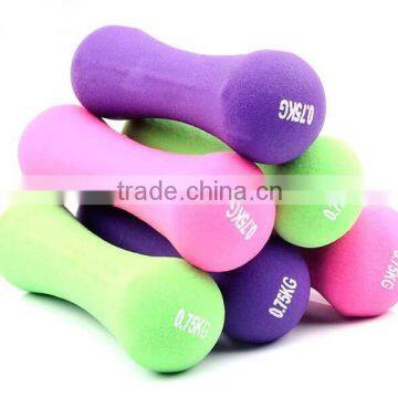 Hot Sale Body Building Cast Iron Neoprene Dumbbell