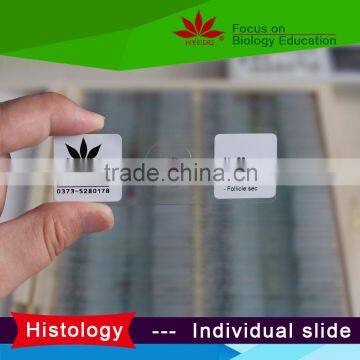 Teaching and lab science individual histology slides microscope accessories